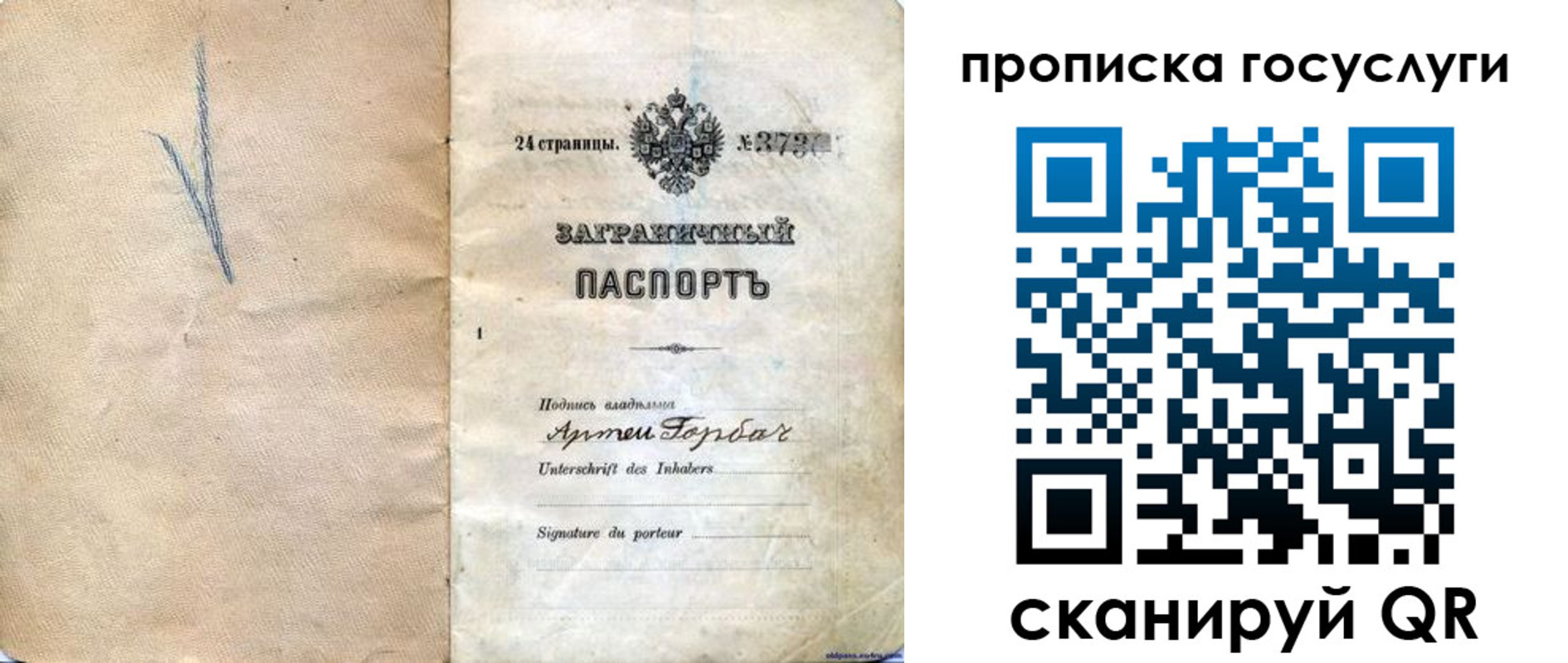 прописка законно в Ермолино